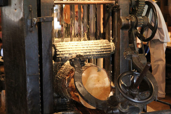 M�nchhofs�gem�hle - (c) Mit freundlicher Genehmigung von Claudia Schittenhelm