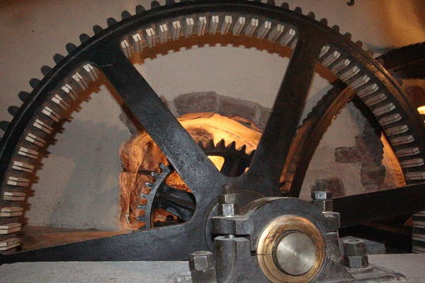 M�nchhofs�gem�hle - (c) Mit freundlicher Genehmigung von Claudia Schittenhelm