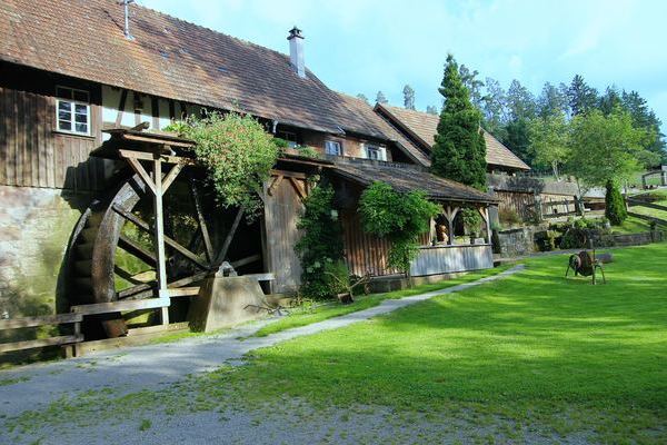 M�nchhofs�gem�hle - (c) Mit freundlicher Genehmigung von Claudia Schittenhelm