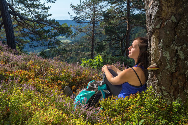 Albsteig Schwarzwald � Klaus-Peter Kappest | www.albsteig.de