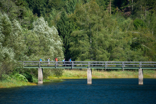 Albsteig Schwarzwald � Klaus-Peter Kappest | www.albsteig.de