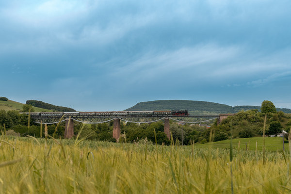 Copyright: Bahnbetriebe Blumberg GmbH & Co. KG Sauschw�nzlebahn