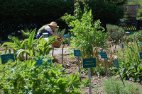 Schwarzw�lder Freilichtmuseum Vogtsbauernhof