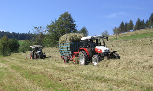 Harzlochhof M�nstertal (M�nstertal)