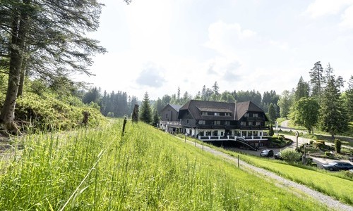Hotel Restaurant "Walds�gm�hle" (Pfalzgrafenweiler-K�lberbronn)