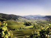 Oberkirch (Bildnachweis: © Renchtal Tourismus GmbH) Oberkirch (Bildnachweis: © Renchtal Tourismus GmbH)