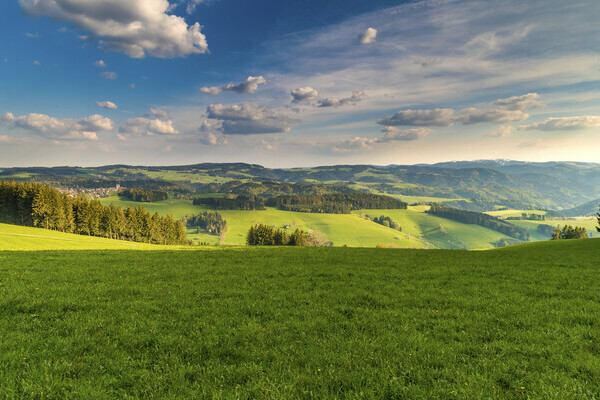 Landschaft bei St. Peter Bildnachweis: �Hochschwarzwald Tourismus Gmbh