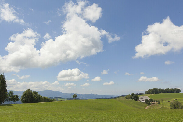 Weide bei Maria Lindenberg Bildnachweis: �Hochschwarzwald Tourismus Gmbh