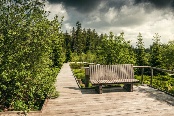 Der Lotharpfad Bildnachweis: Mit freundlicher Genehmigung von Baiersbronn Touristik | &copy; Max G�nter