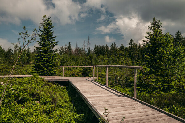 Der Lotharpfad Bildnachweis: Mit freundlicher Genehmigung von Baiersbronn Touristik | &copy; Max G�nter