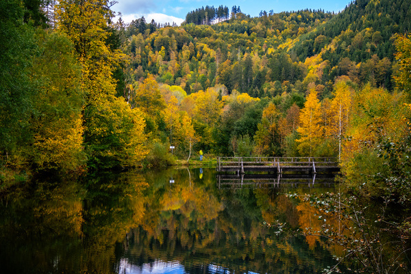 Kleiner See am U(h)rwaldpfad Rohrhardsberg Bildnachweis: � Hochschwarzwald Tourismus GmbH