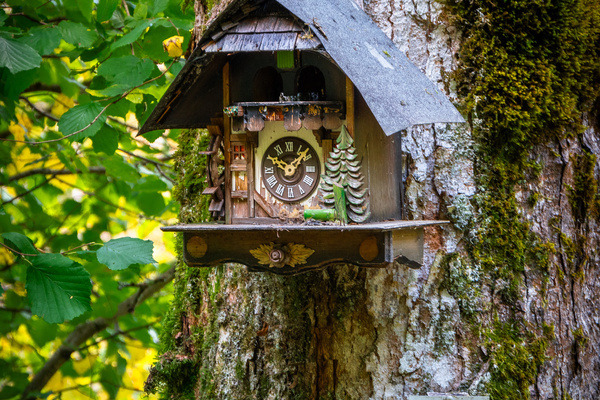 Kuckucksuhr auf dem U(h)rwaldpfad Rohrhardsberg Bildnachweis: � Hochschwarzwald Tourismus GmbH