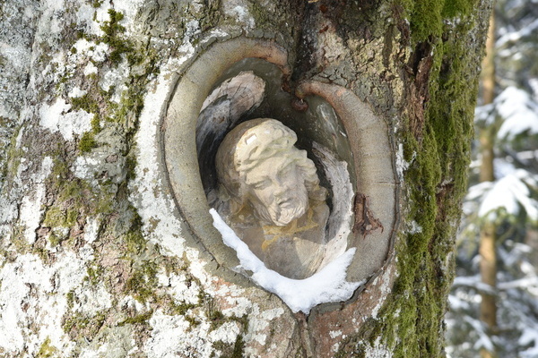 Balzer Herrgott in Furtwangen im Winter Bildnachweis: � Hochschwarzwald Tourismus GmbH