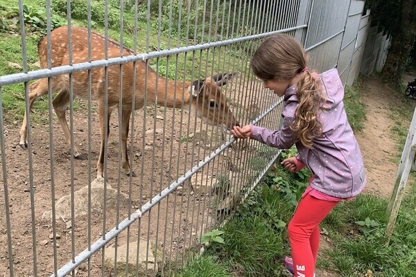 Kind f�ttert Reh Bildnachweis:  4Ws-Netdesign