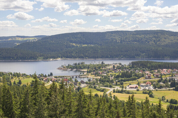 Blick auf Schluchsee vom Riesenb�hlturm Bildnachweis: Hochschwarzwald Tourismus GmbH