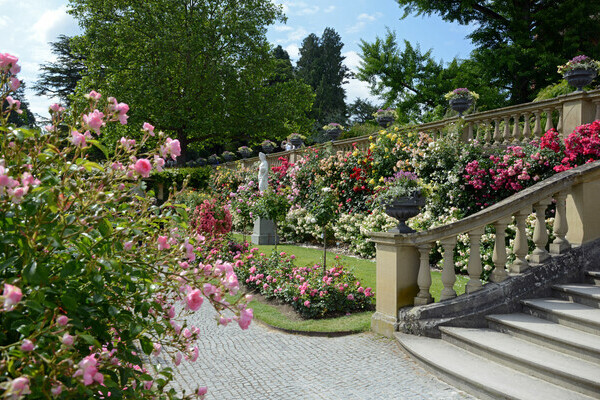 Rosengarten Bildnachweis: � Mainau GmbH