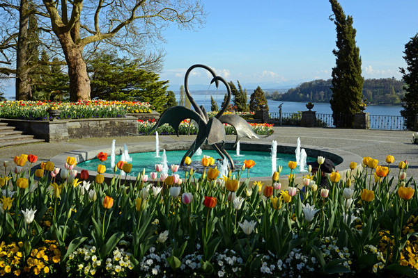 Tulpen Brunnenarena Bildnachweis: � Mainau GmbH