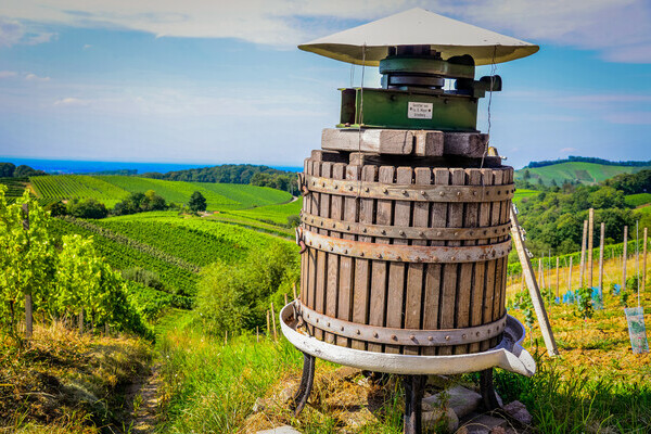 Weinstadtf�hrung Offenburg Bildnachweis: Stadt Offenburg