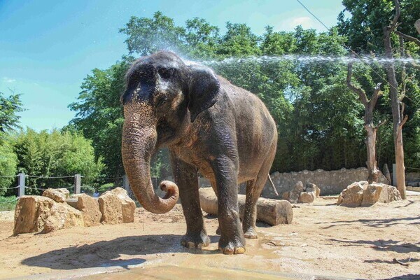  Bildnachweis: � Wilhelma Stuttgart