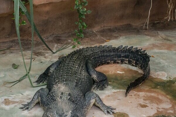  Bildnachweis: � Wilhelma Stuttgart