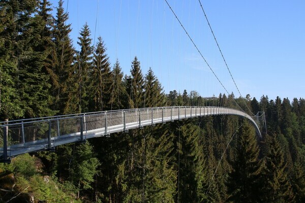 Wildline Bildnachweis: � Touristik Bad Wildbad GmbH, Foto: Markus Maisenbacher