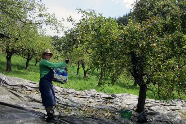 Brennerei Baron Droste H�lshoff Bildnachweis: Mit freundlicher Genehmigung von Herrn Benedikt von Droste zu H�lshoff